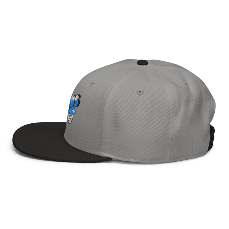 Jesus Drip SnapBack Hat (GREY/BLK)